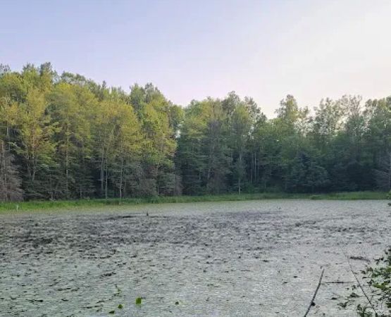 OTTER LAKE CAMPGROUND
