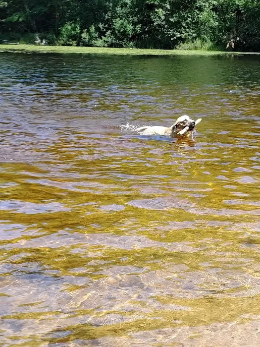 OTTER LAKE CAMPGROUND 1
