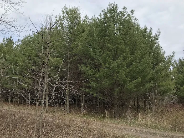 Chequamegon Waters Dispersed Recreation Area 3