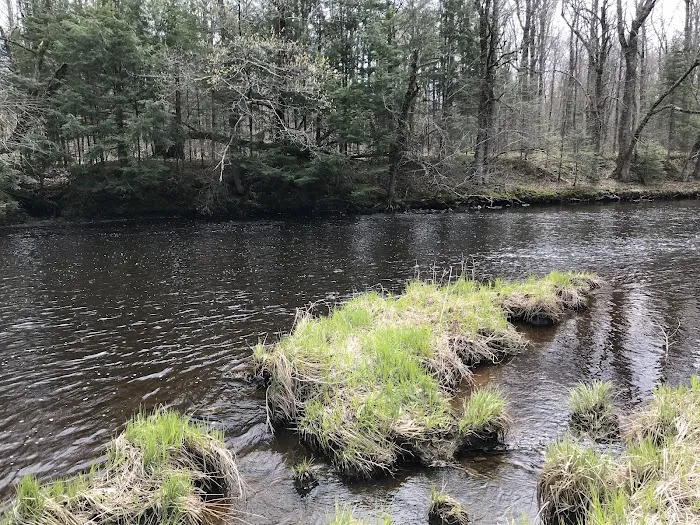 Chequamegon Waters Dispersed Recreation Area 4