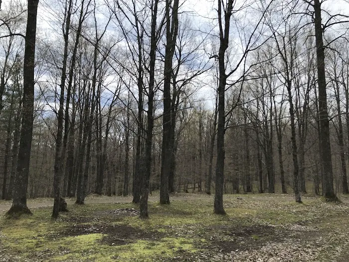 Chequamegon Waters Dispersed Recreation Area 7