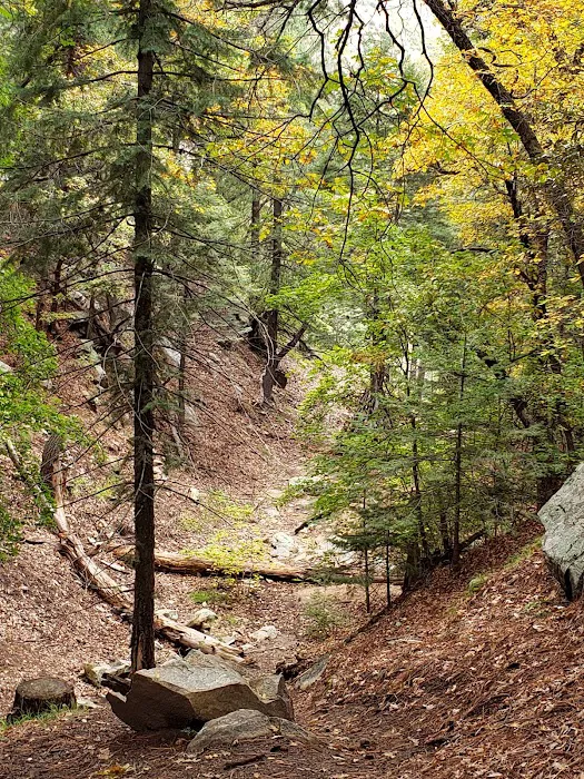 Arcadia Campground 2