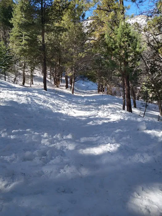 Arcadia Campground 4