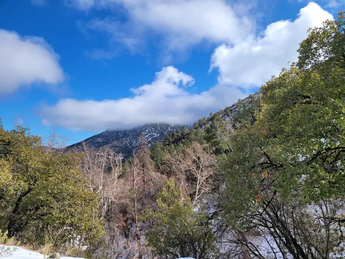 Arcadia Campground 7