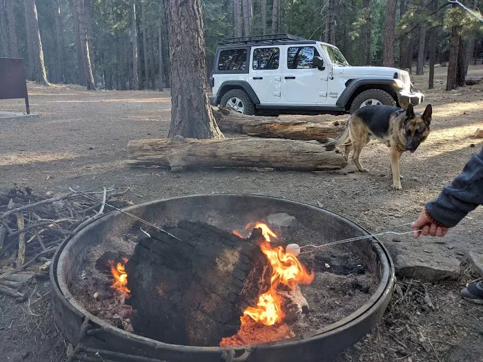 Upper & Lower Twilight Group Campground 2