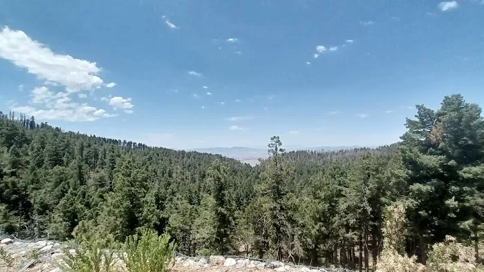 Riggs Flat Campground 1