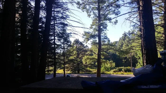 Riggs Flat Campground 3