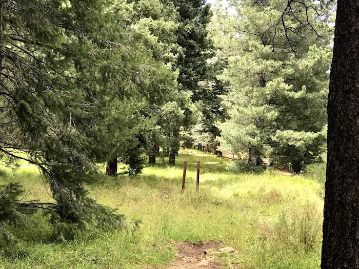 Riggs Flat Campground 7