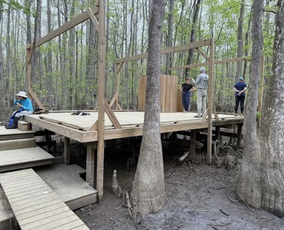 Beaver Lodge and Beaver Tail