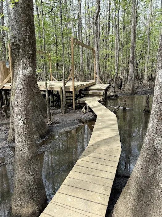 Beaver Lodge and Beaver Tail 8