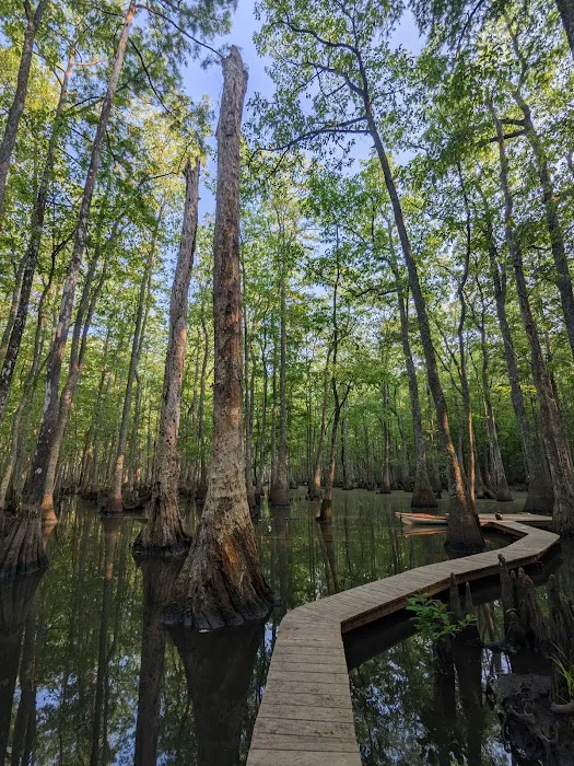 Beaver Lodge and Beaver Tail 7