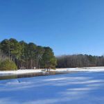 Ross’ Paradise Park