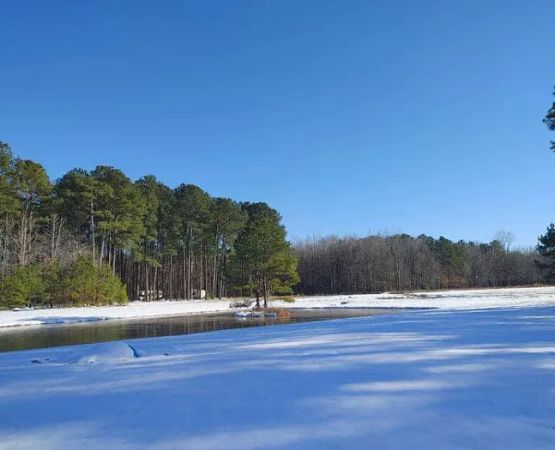 Ross’ Paradise Park