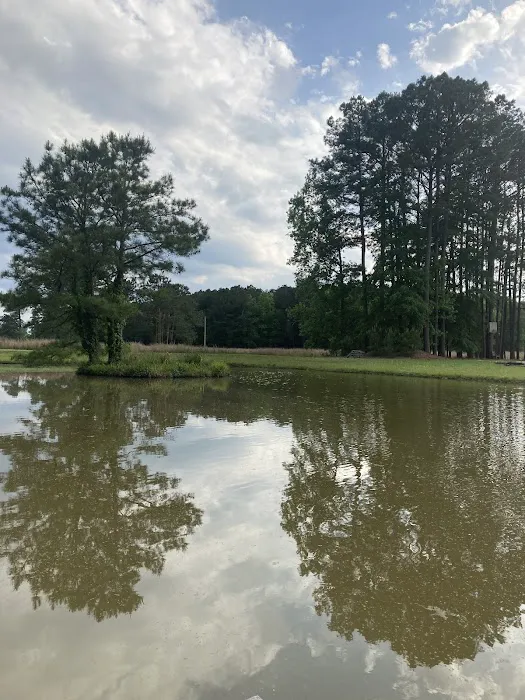 Ross’ Paradise Park 7