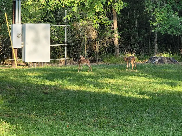 Texana Park and Campground 7
