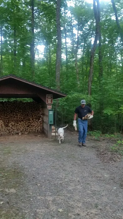 L148 Ice Age Trail campground 3