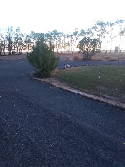 Woodland Park City Campground 2