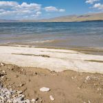 Bureau Land Management