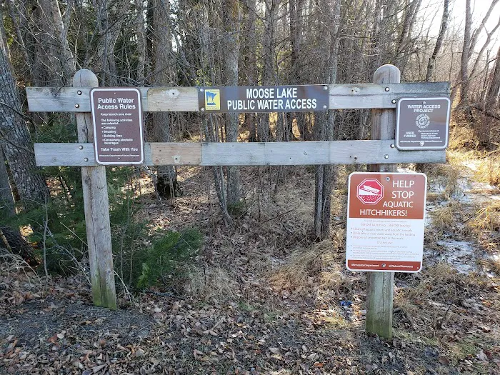 Moose Lake Campground 4
