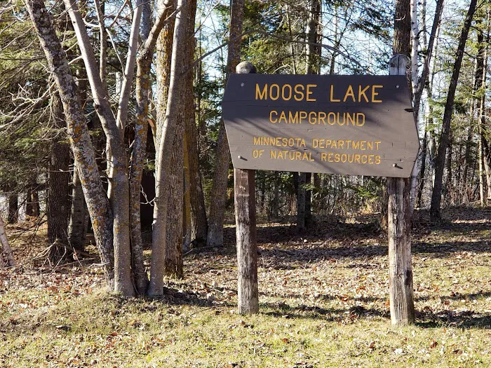 Moose Lake Campground 7