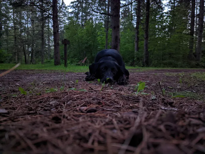 Cottonwood Lake Campground 0