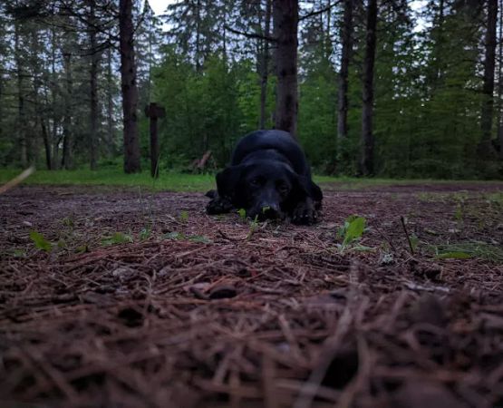 Cottonwood Lake Campground