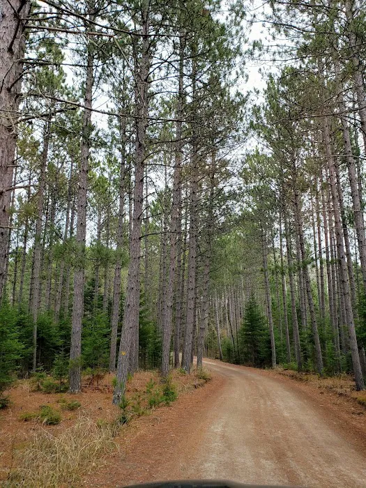Cottonwood Lake Campground 8