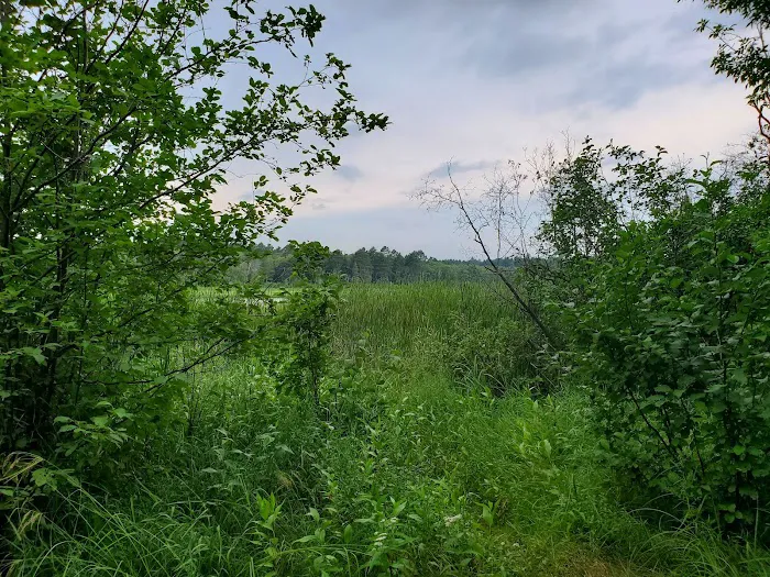 Mosomo Point Campground 6