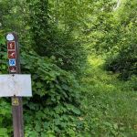 East Seelye Bay Campground