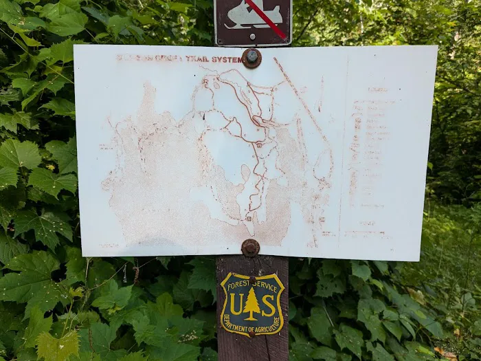 East Seelye Bay Campground 2
