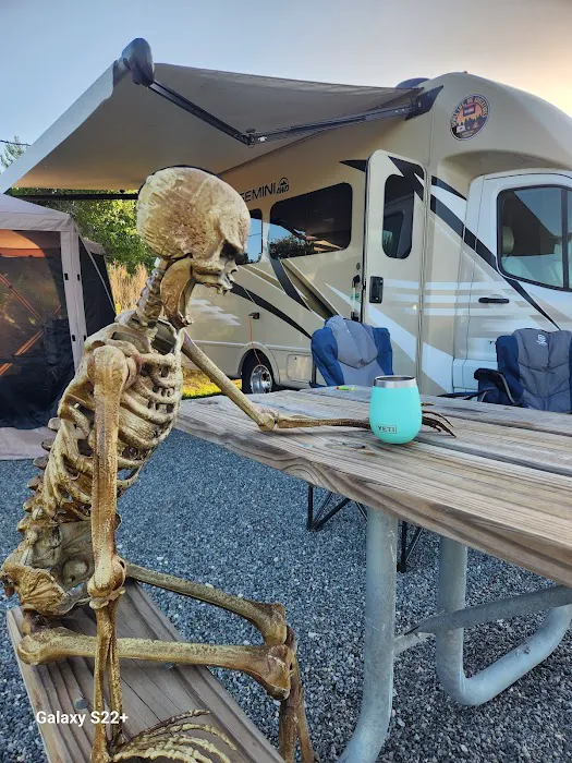 St Andrews State Park Campground 3