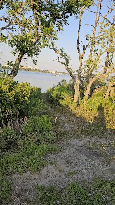 St Andrews State Park Campground 8