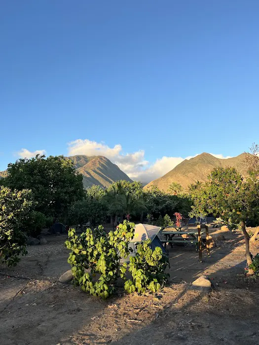 Camp Olowalu 3