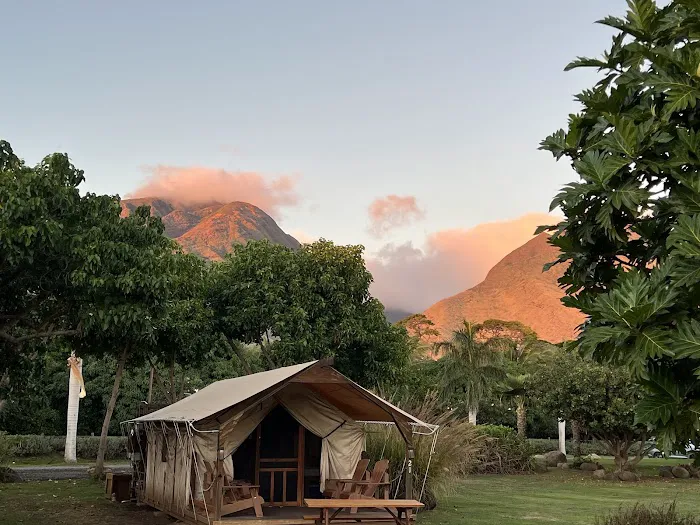 Camp Olowalu 4