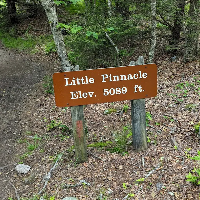 Little Pinnacle 6