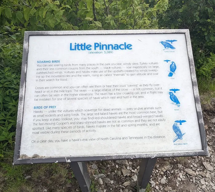 Little Pinnacle 4