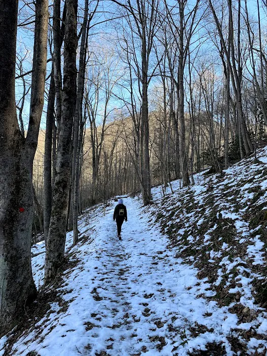 New River State Park, Wagoner Access Rd. 9
