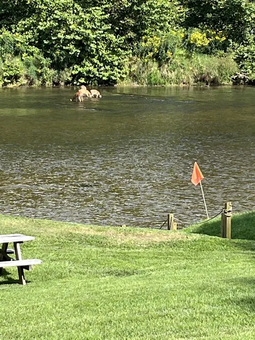 River Country Campground & RV Park 3