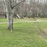 Moncove Campground at Moncove Lake