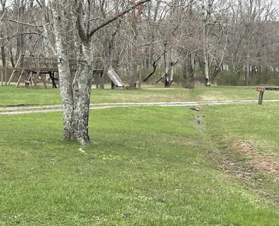 Moncove Campground at Moncove Lake