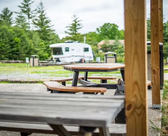 Wood Mountain Road Campground