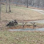 Big Ridge Campground