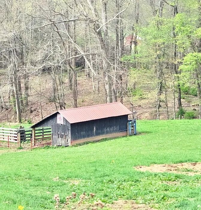 Big Ridge Campground 6