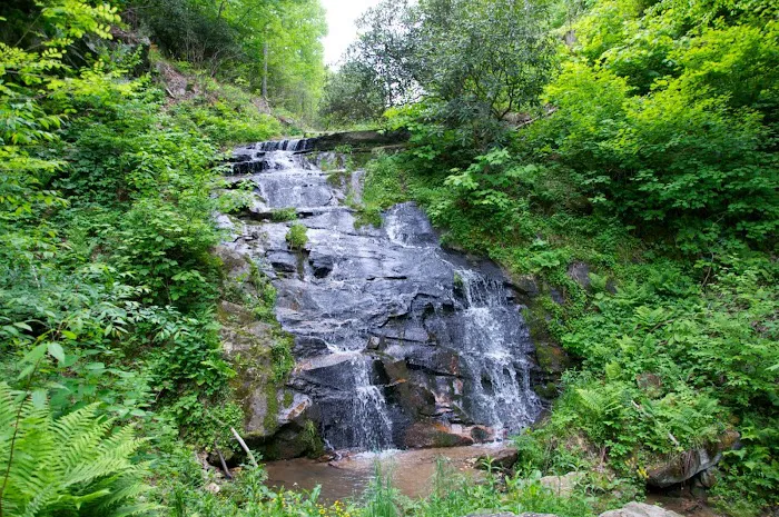Virginia Highland Haven Airstream Park 4