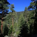 Lovers Leap Campground