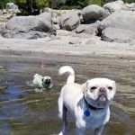 Northwind Campground