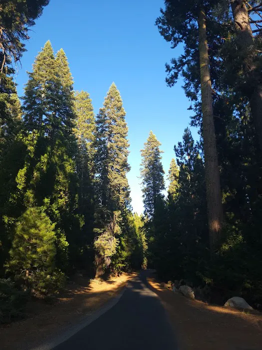 Strawberry Point Campground 2