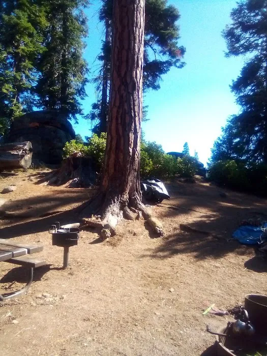 Strawberry Point Campground 6
