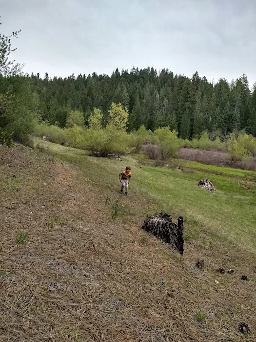 Strawberry Point Campground 4