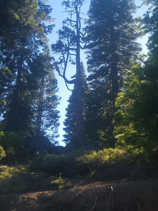Strawberry Point Campground 7